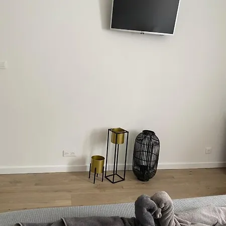 Apartment Calme Avec Terrasse Proche Du Centre Et De La Mer, Parking, Internet